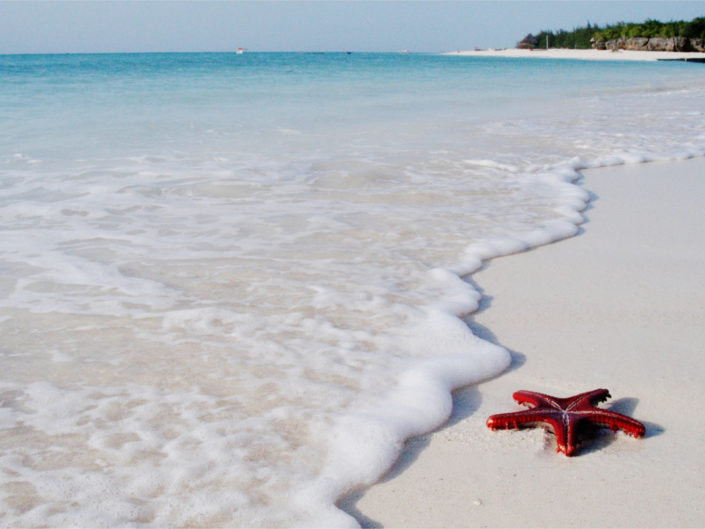 Sansibar – Postkartenidylle am schneeweißen Sandstrand