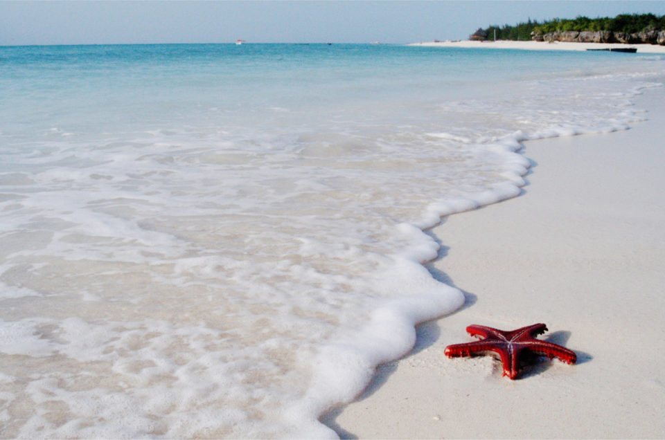 Sansibar - Postkartenidylle am schneeweißen Sandstrand