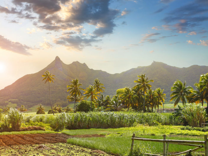 Mauritius – Atemberaubende Wildnis