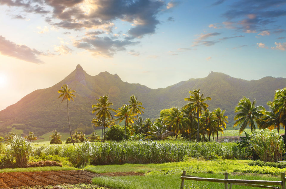 Mauritius - Atemberaubende Wildnis