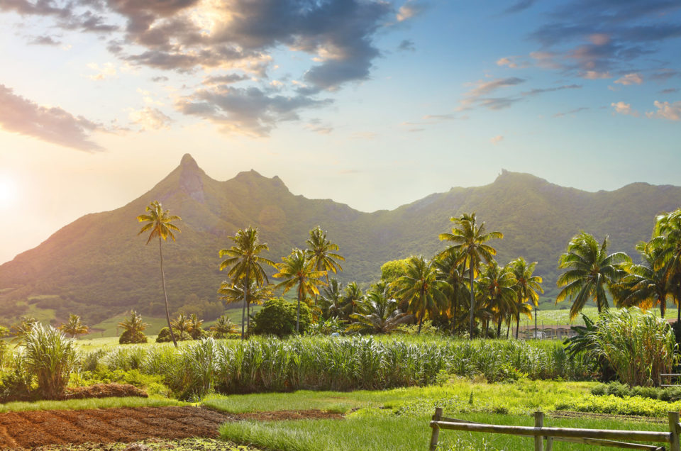 Mauritius – Atemberaubende Wildnis