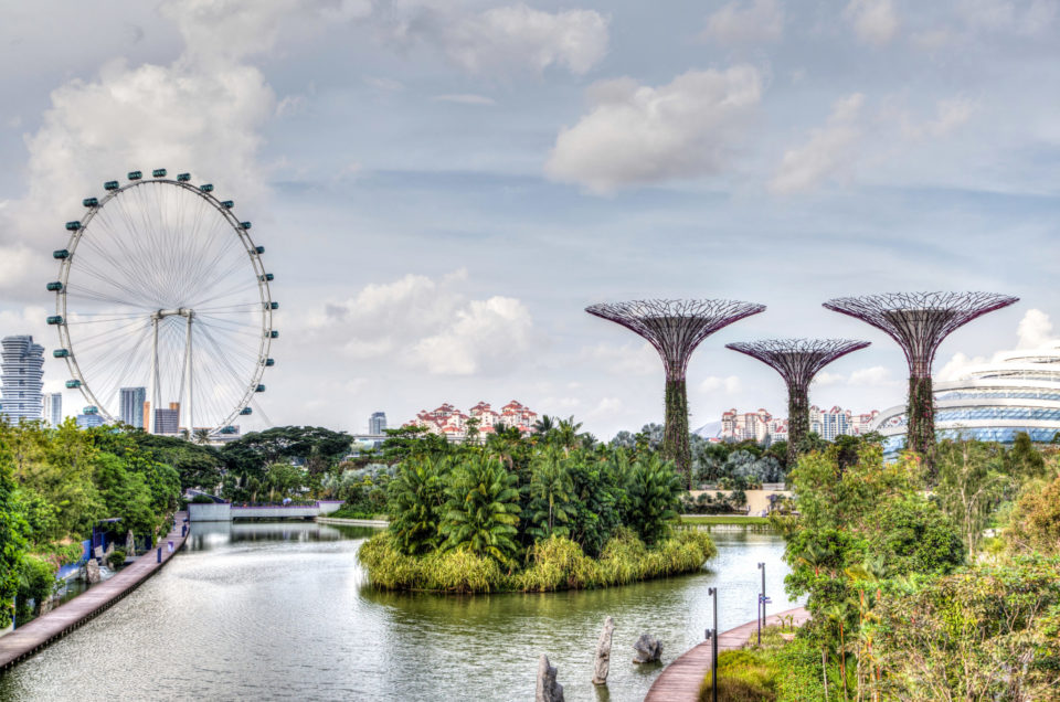 Singapur - Der Dschungel vor der Haustür