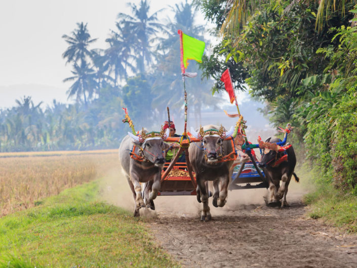 Bali – Diamant, Mythos, Pilgerort