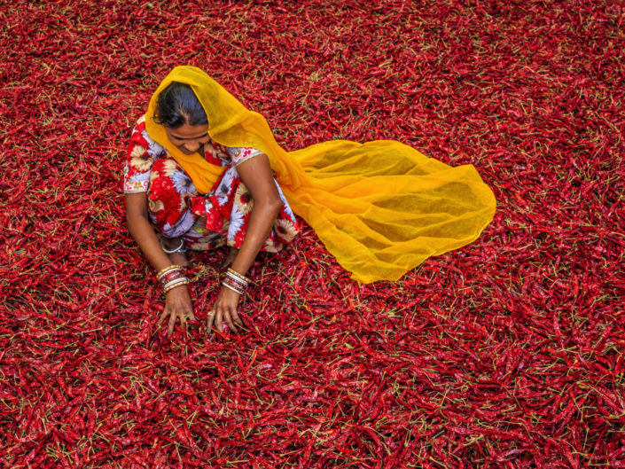 Indien und Andamanen – Ein Fest für die Sinne