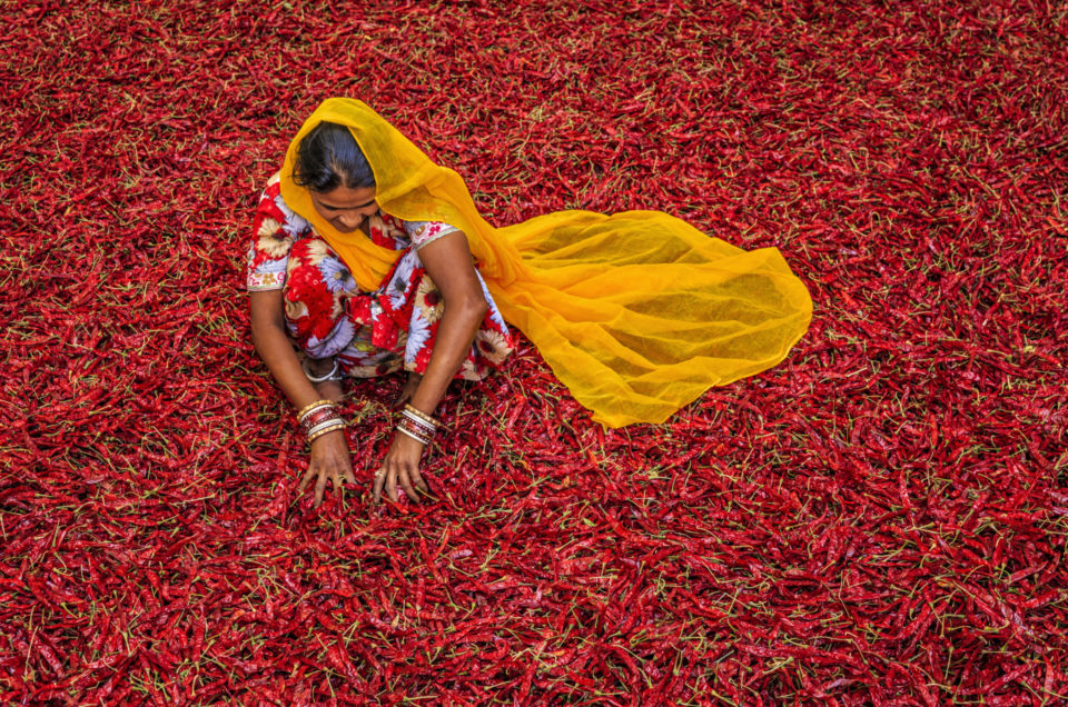 Indien und Andamanen – Ein Fest für die Sinne