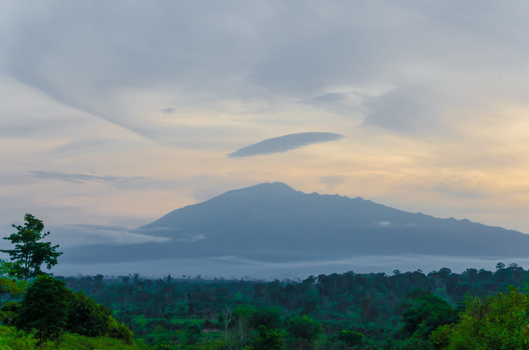 Mount Cameroon in the distance during evening light with cloudy sky and rain forest, Africa.