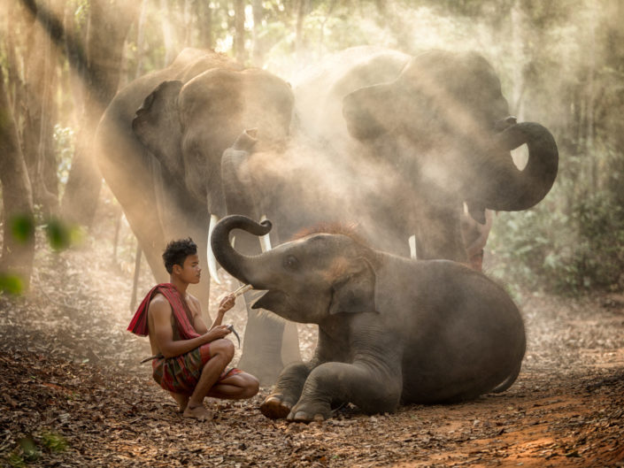 Koh Yao Yai – Dschungel und Einsamkeit