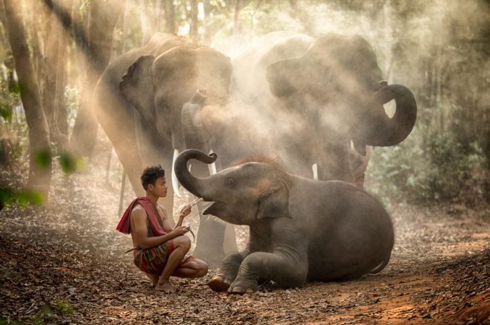 Koh Yao Yai – Dschungel und Einsamkeit